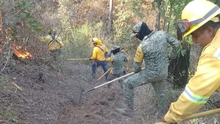  Liquida Coesfo incendio en los Loxichas 