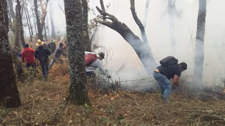 Reportan 75% de control en incendio en San Andrés Huayapam