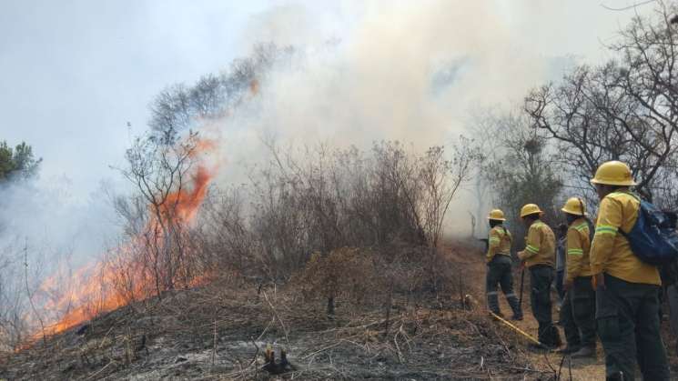 Controla Coesfo incendio forestal en la Sierra de Juárez   