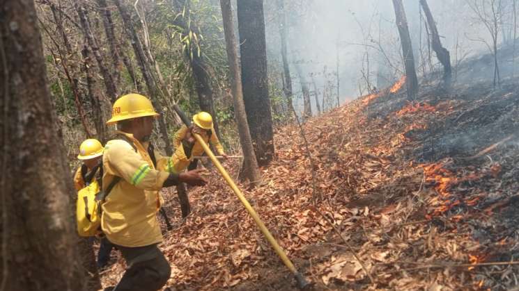  Atiende Coesfo reactivación de incendio en San Juan Tamazola 