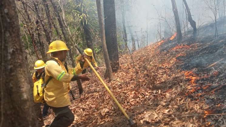  Refuerza Coesfo atención a incendio en San Pedro Pochutla  