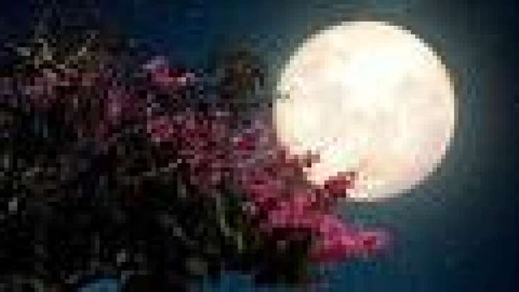 Habrá Luna de Flores de mayo en cielo de México 