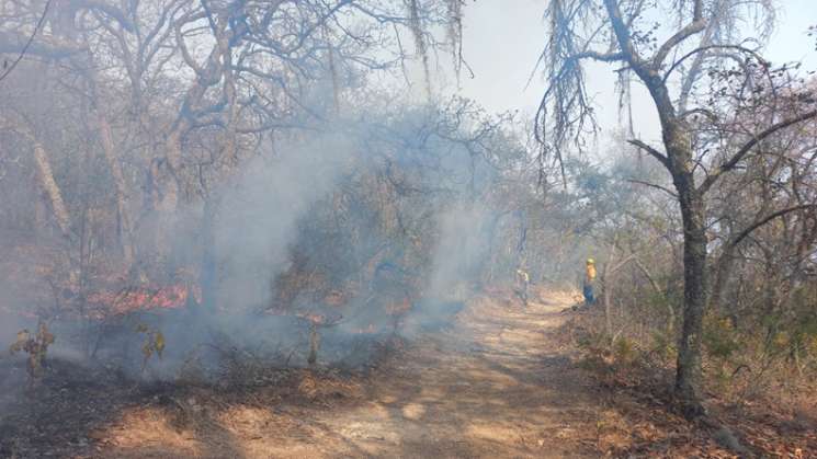  Registra mayo 23 incendios forestales     El Gobierno de Oaxaca 