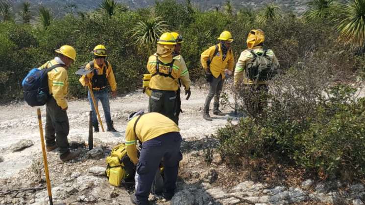    Atiende Coesfo incendio forestal de Santa María Yolotepec     