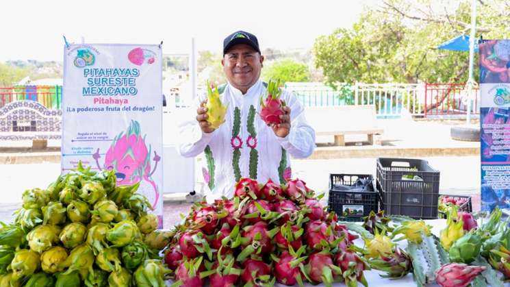  Santo Domingo Tianguistengo celebra la Feria de la Pitaya 