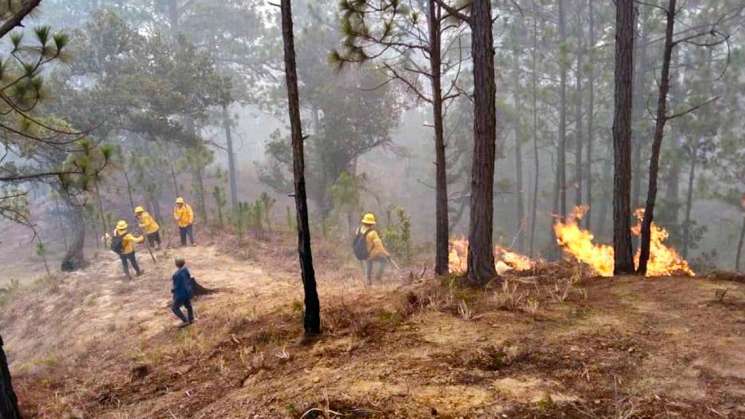 Suman 6 decesos por Incendios forestales en Oaxaca 