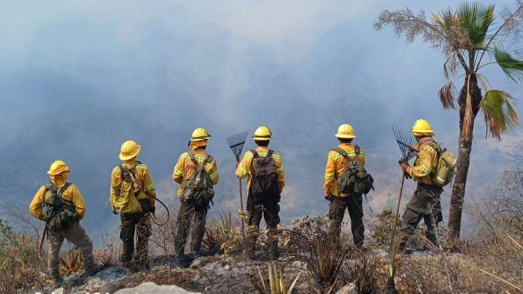  Reporta Coesfo 10 incendios forestales activos en Oaxaca 