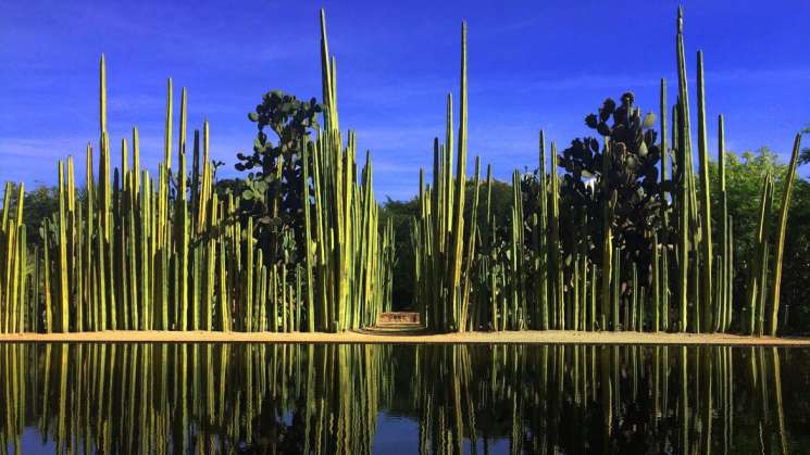 Oferta cultural gratuita en Jardín Etnobotánico de Oaxaca 