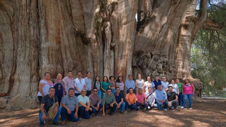  Instalan Comité para la atención del milenario Árbol del Tule  