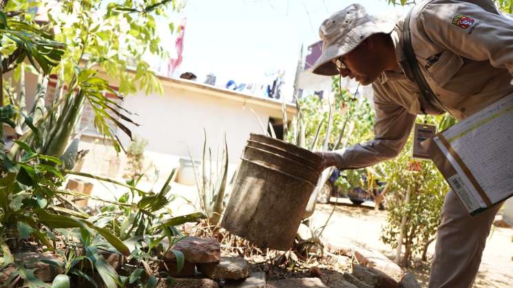  Oaxaca reporta 56 municipios con casos confirmados de dengue  