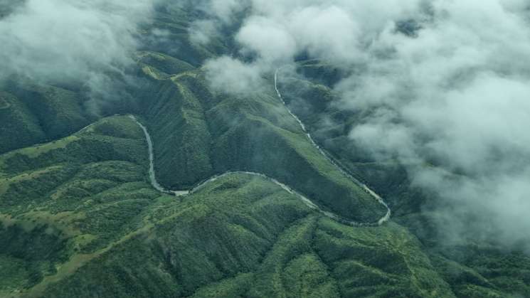 Exhortan a preservar patrimonio natural en 8 regiones de Oaxaca 