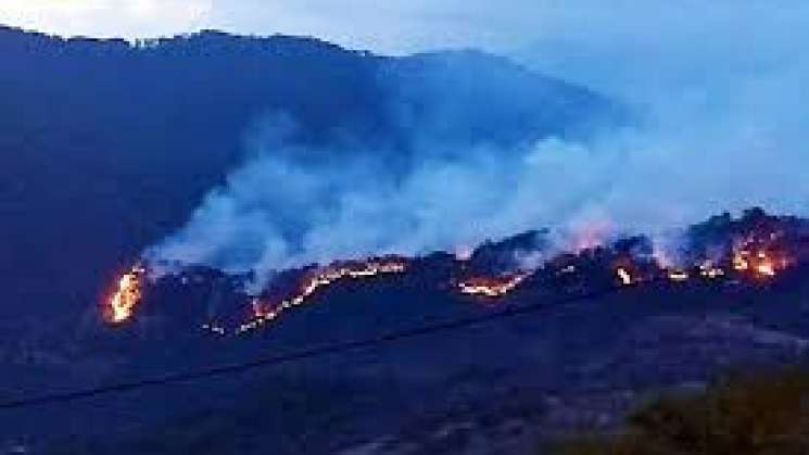   Atiende Coesfo incendio forestal en la Sierra de Juárez   