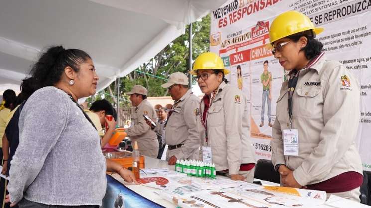 Prevenir el aumento de casos de dengue es tarea de todas y todos 