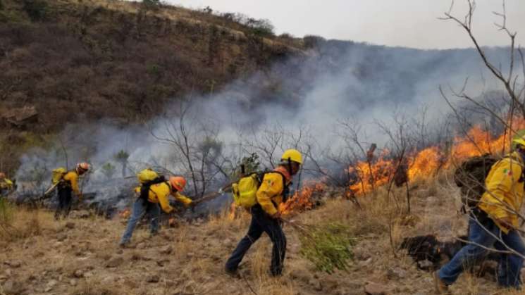 Rompió récord México por incendios forestales en 2023