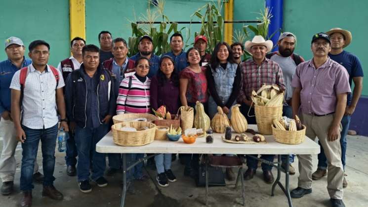 Llevan autosuficiencia de maíz a 321 municipios oaxaqueños 