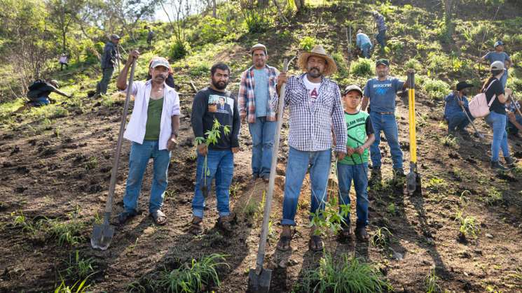  Realiza Coesfo 1ra Jornada de Reforestación en Teojomulco