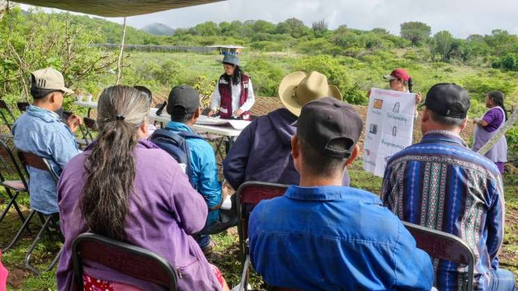 Capacita Sefader a productores de maíz en San Pedro Taviche