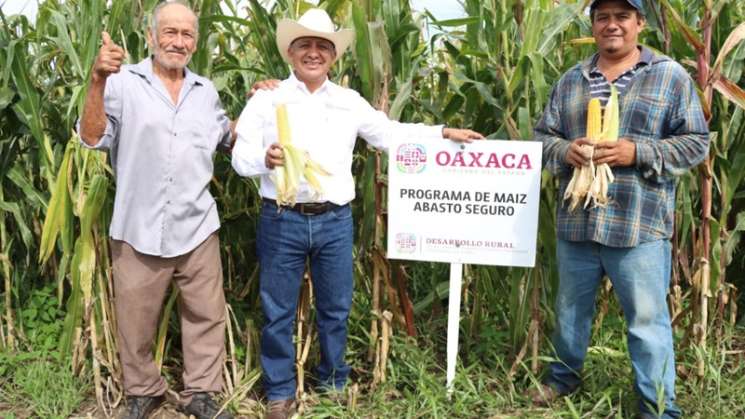  Impulsa Sefader el bienestar del campo oaxaqueño   