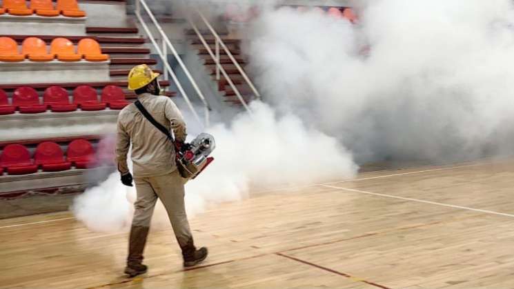 Disminuyen casos de dengue en Oaxaca  