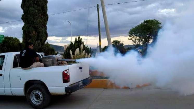  Estabilizan en Valles Centrales casos de dengue   