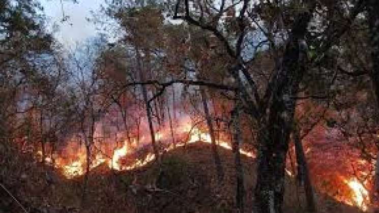 Incendios en Oaxaca suman 135 mil hectáreas afectadas