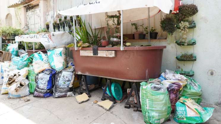 Ante las lluvias, pide SSO reforzar medidas contra el dengue   