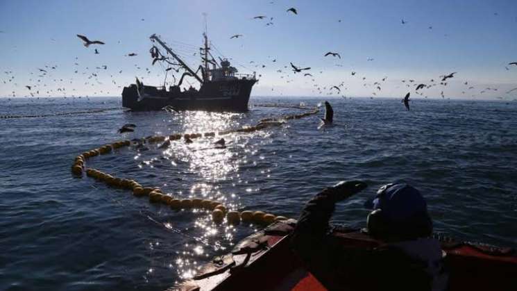 Oceana: Oaxaca con más recursos marítimos de México