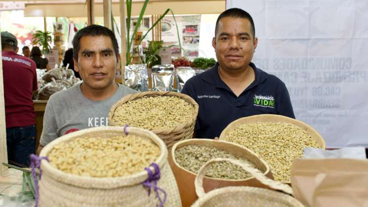  Culmina con éxito Convención del Café Oaxaqueño 2024  