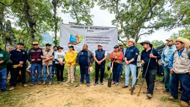 Participa Coesfo en Jornada de Reforestación de San Pablo Huitzo