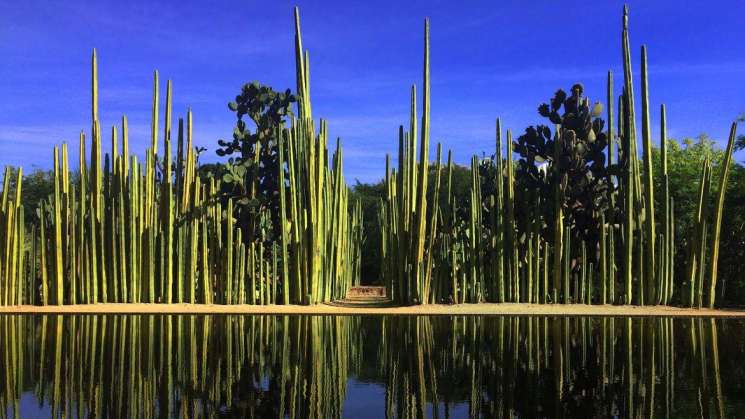 Realizarán 2°edición de “Tardes de Jardín”, en el  Etnobotanico