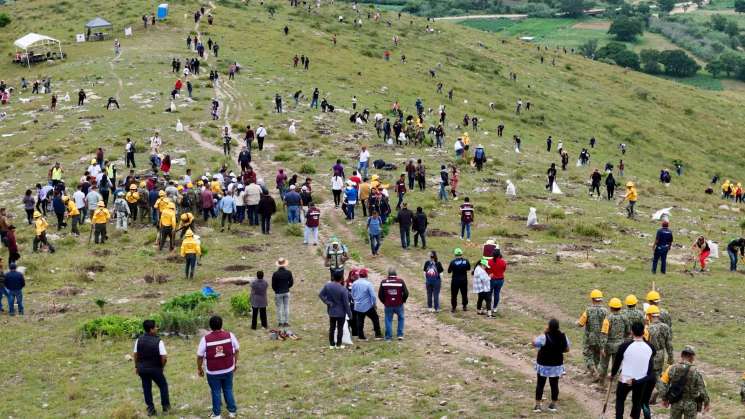 Revitalizan suelos del Polígono de Monte Albán reforestando 