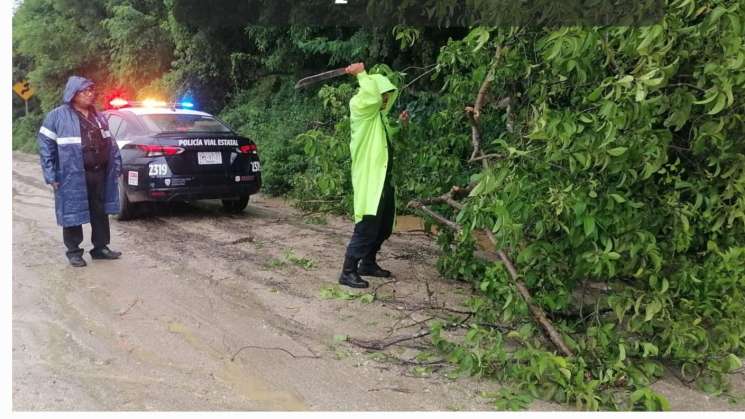  Remanentes de “John” y  “Helene” mantendrán lluvias en Oaxaca 