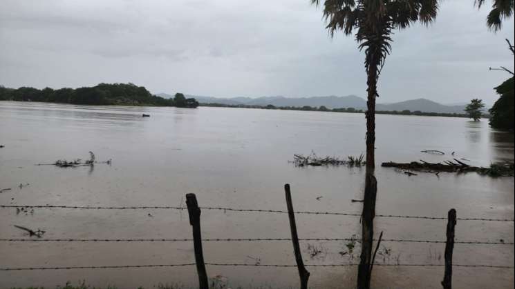 Reportan afectaciones en caminos y puentes por lluvias en Oaxaca 