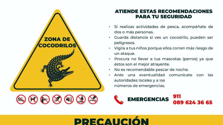 Emiten recomendaciones ante presencia de cocodrilos en playas 