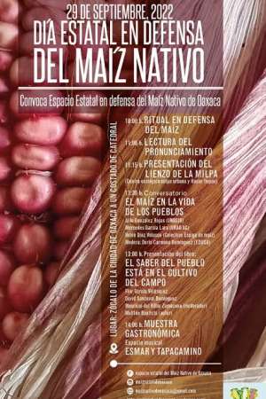 Celebran en Oaxaca Día Nacional del Maíz Nativo