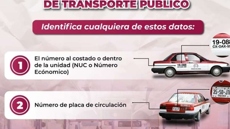 Conoce los datos para reportar quejas sobre transporte público   