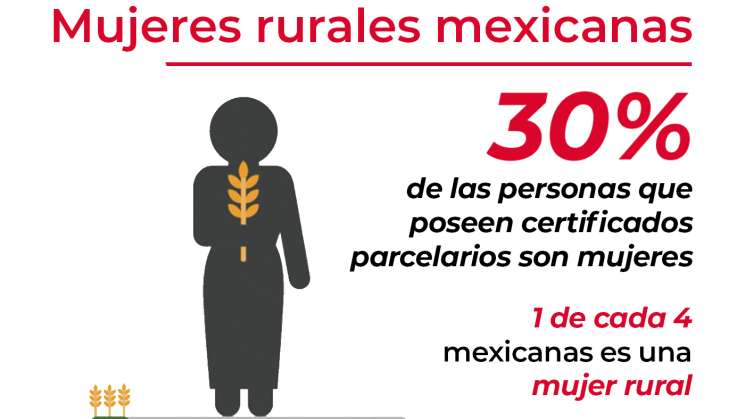 Mujeres rurales mexicanas: Agentes de cambio en el campo 