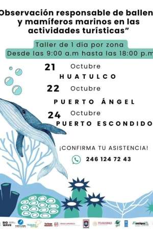 Taller de observación responsable de ballenas y mamíferos 