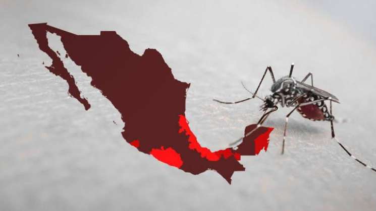 Suma México más de 90 mil casos de dengue