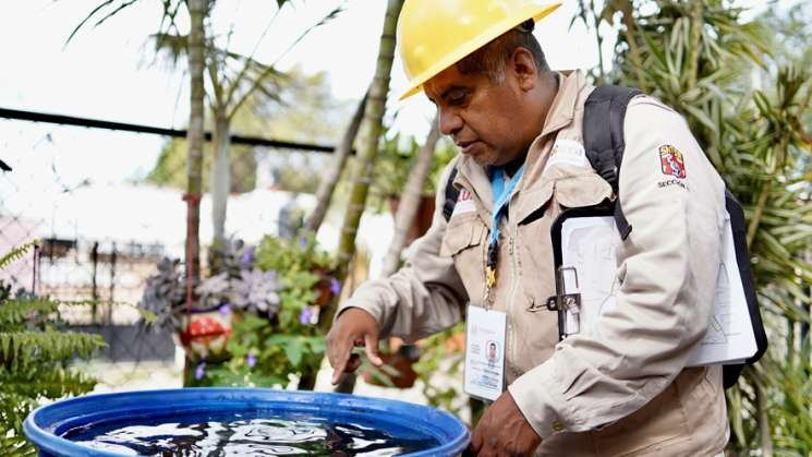 Convoca SSO no descuidar las medidas preventivas contra el dengue