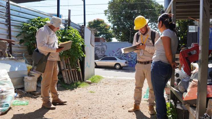 Oaxaca reporta 24 casos nuevos de dengue suman tres mil 991