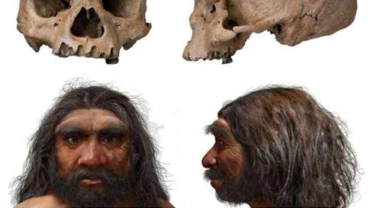 Hallan nueva especie humana, con dientes y cráneo gigantes