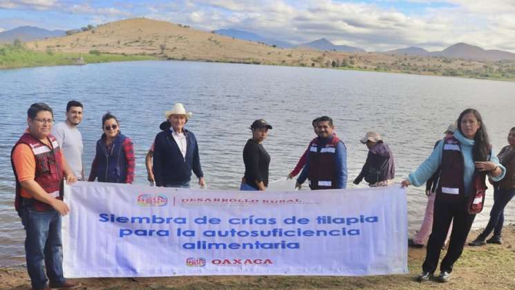 Siembra Sefader 30 mil alevines de tilapia en presa Los Cardones 