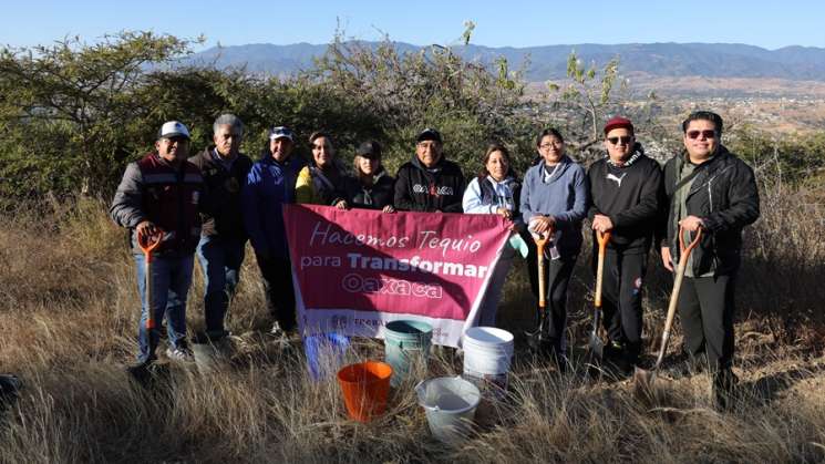 Realizan Mega Tequio de Riego en San Pedro Ixtlahuaca   