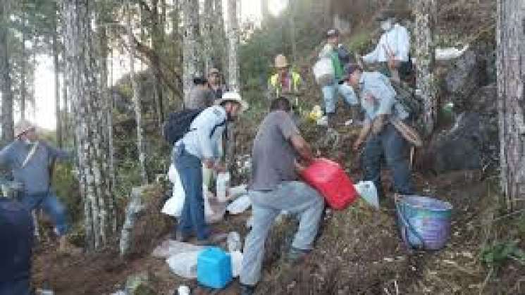 Controla Coesfo incendio forestal en Santa María Yucuhiti  