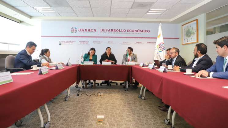 Avanza Gobierno de Oaxaca en transición energética 