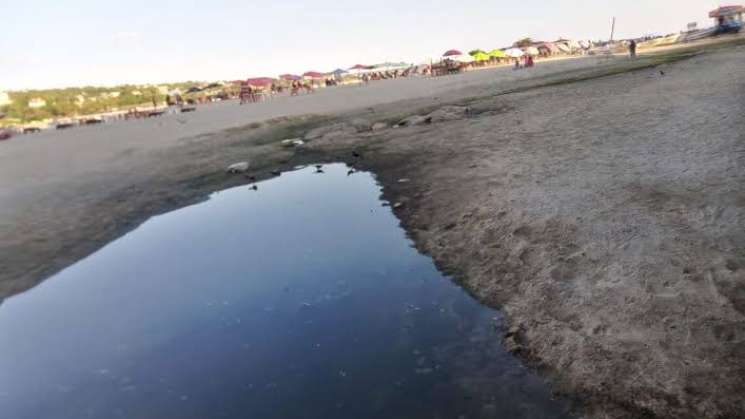 Grave contaminación de aguas negras en Puerto Escondido 