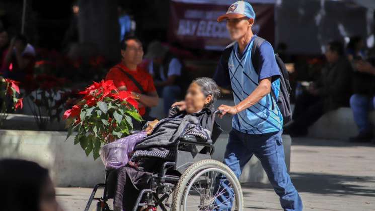 Obsequia Sefader más de cinco mil nochebuenas a Oaxaqueñ@s