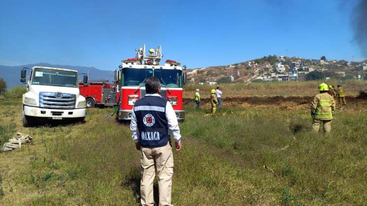 Liquidado incendio en el municipio de San Antonio de la Cal: PC