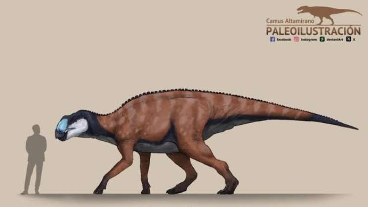 Hallan nueva especie de dinosaurio de 72 millones en Coahuila 